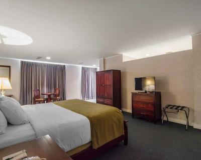 کوالیتی این ویتکورت