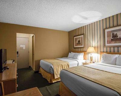 کوالیتی این ویتکورت