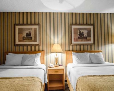 کوالیتی این ویتکورت