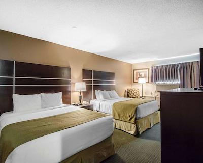 کوالیتی این ویتکورت