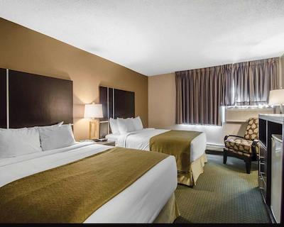 کوالیتی این ویتکورت