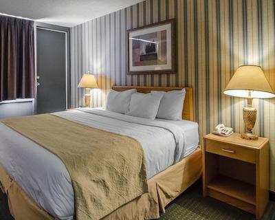 کوالیتی این ویتکورت