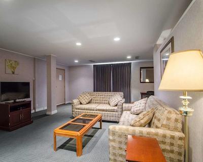 کوالیتی این ویتکورت