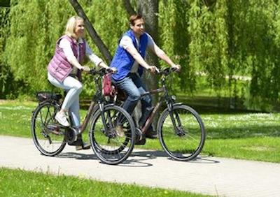 رینگهتل اهرنسبورگ گارنی