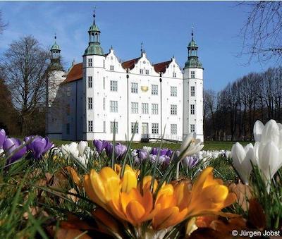 رینگهتل اهرنسبورگ گارنی