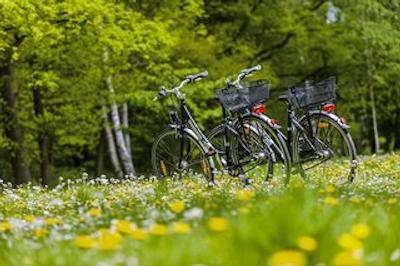 رینگهتل اهرنسبورگ گارنی