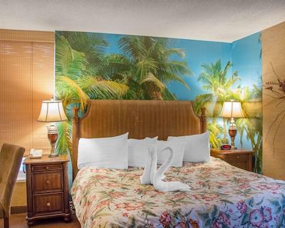 کوالیتی این وینیپگ