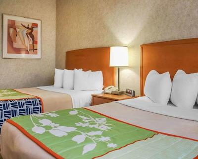 کوالیتی این وینیپگ