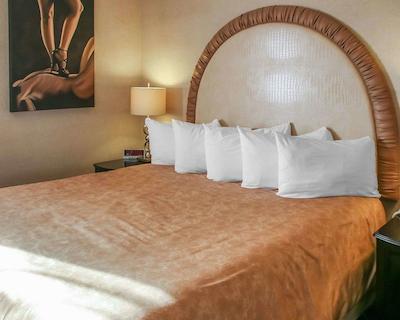 کوالیتی این وینیپگ