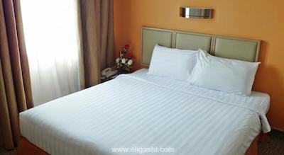 سنترال پودو