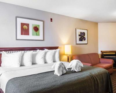 کوالیتی این اند سویتز 1000 ایسلاندز