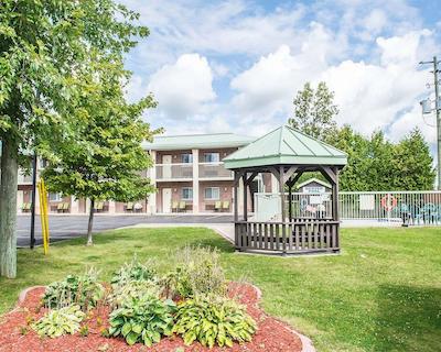 کوالیتی این اند سویتز 1000 ایسلاندز