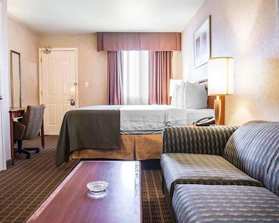 کوالیتی این اند سویتز 1000 ایسلاندز