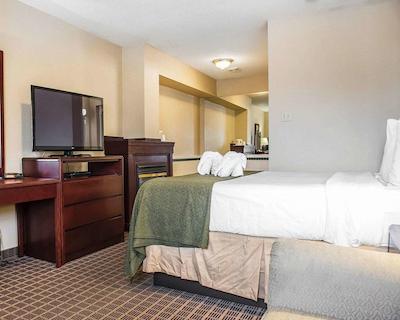 کوالیتی این اند سویتز 1000 ایسلاندز