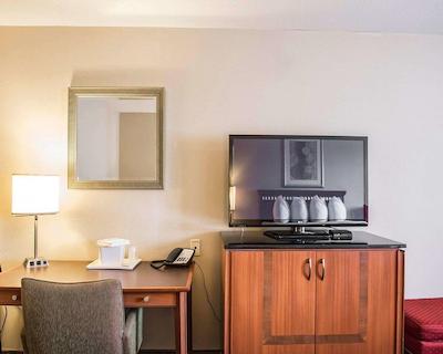 کوالیتی این اند سویتز 1000 ایسلاندز