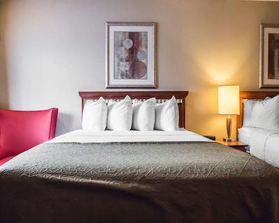 کوالیتی این اند سویتز 1000 ایسلاندز