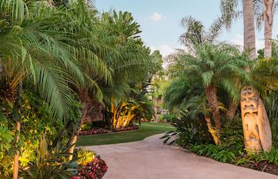 د دانا اُن میسشن ب