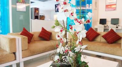 آی چک این میفر پراتونام