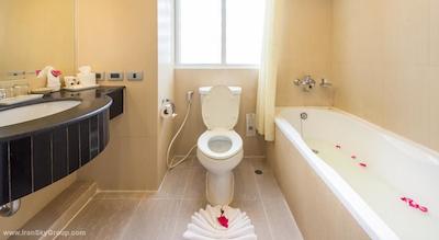 آی چک این میفر پراتونام