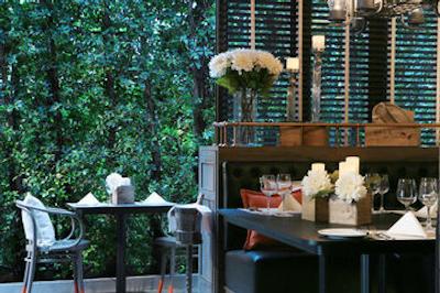 ریوا سوریا بانکوک