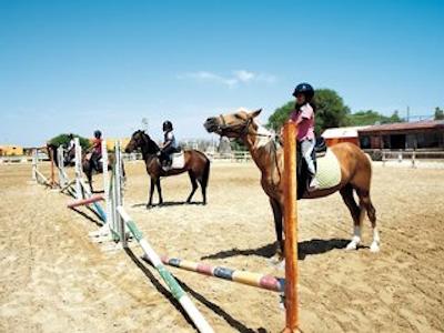 کاریبین ورلد گامارد