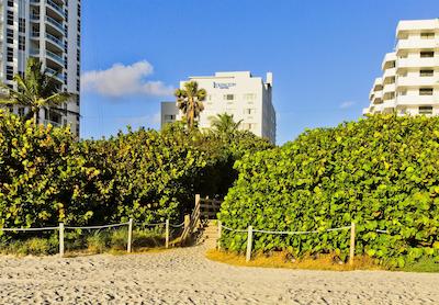 لکسینگتون هتل میامی بیچ