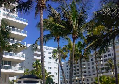 لکسینگتون هتل میامی بیچ