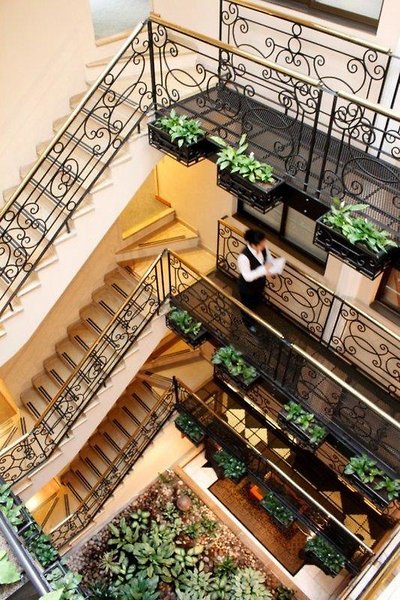 استلار ویندسُر هوس