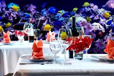 ناسا وگاس هتل