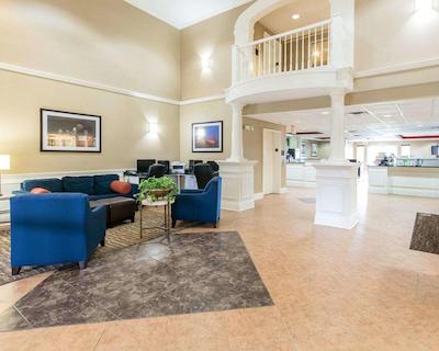 کمفرت این اند سویتز آیرپرت اند اکسپو