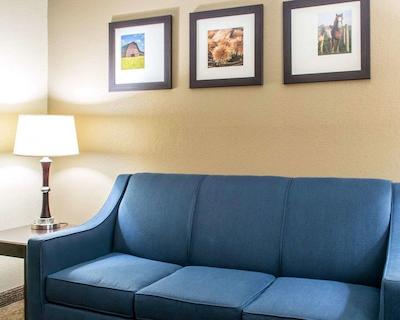 کمفرت این اند سویتز آیرپرت اند اکسپو