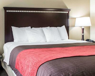 کمفرت این اند سویتز آیرپرت اند اکسپو