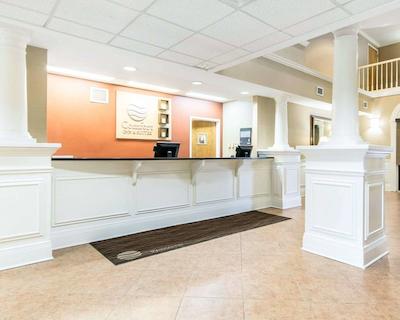 کمفرت این اند سویتز آیرپرت اند اکسپو