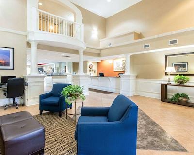 کمفرت این اند سویتز آیرپرت اند اکسپو