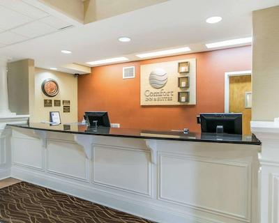 کمفرت این اند سویتز آیرپرت اند اکسپو