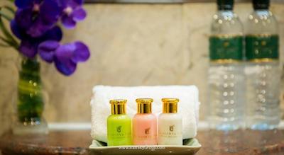 چائوفیا پارک هتل بانکوک