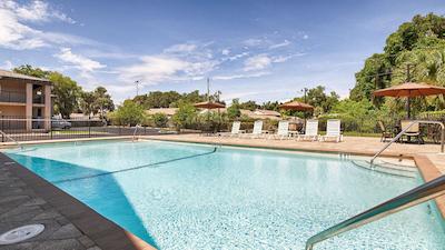 بست وسترن این اُف پالاتکا