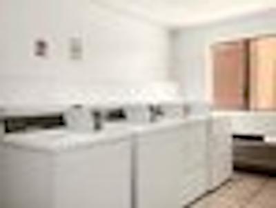 اکستند ا سویتز فنیکس