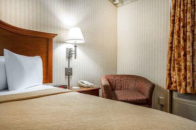 کوالیتی این اند سویتز اورگرین