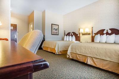 کوالیتی این اند سویتز اورگرین