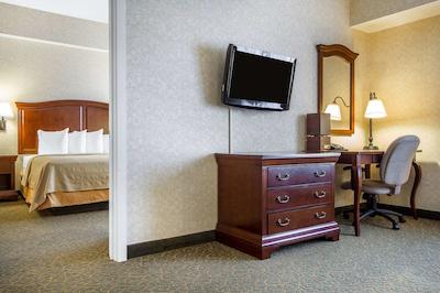 کوالیتی این اند سویتز اورگرین