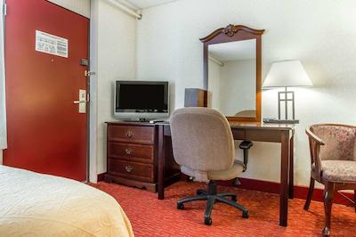 کوالیتی این اند سویتز اورگرین