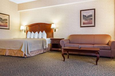 کوالیتی این اند سویتز اورگرین