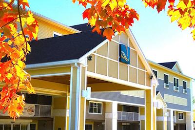 کوالیتی این اند سویتز اورگرین