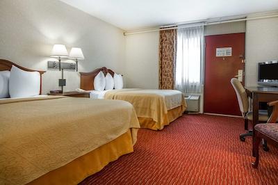 کوالیتی این اند سویتز اورگرین