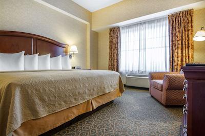 کوالیتی این اند سویتز اورگرین