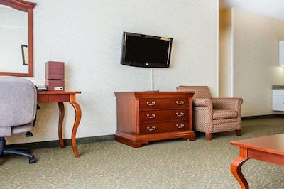 کوالیتی این اند سویتز اورگرین