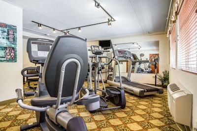 کوالیتی این اند سویتز اورگرین