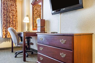 کوالیتی این اند سویتز اورگرین