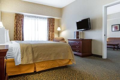 کوالیتی این اند سویتز اورگرین